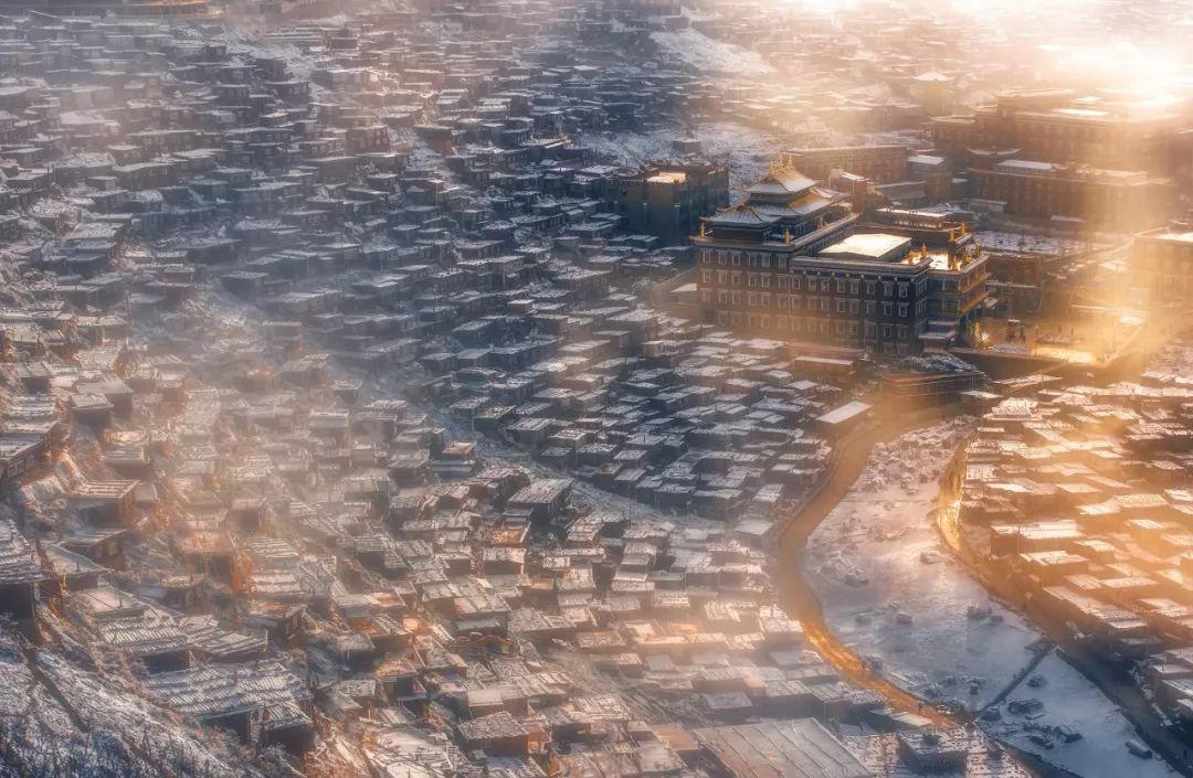 狍子雪地被困,被当地养殖户解救后呆在原地,久久不肯离去