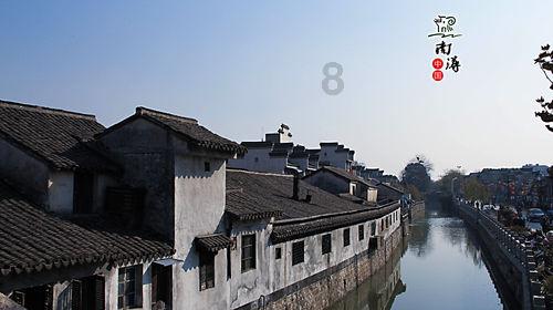黄河流域水鸟栖息地保护仍有空缺,专家建议:推动完善体系建设